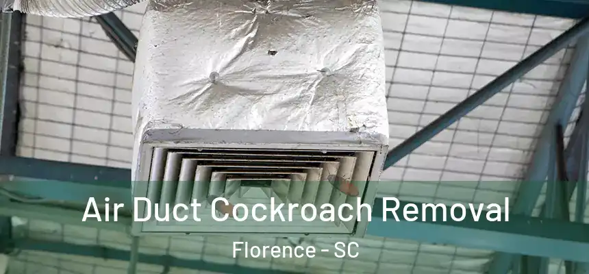  Air Duct Cockroach Removal Florence - SC
