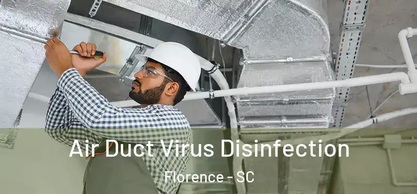 Air Duct Virus Disinfection Florence - SC