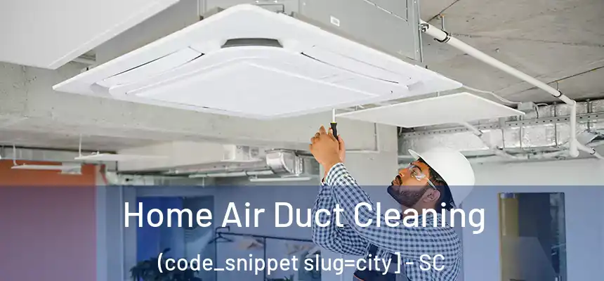  Home Air Duct Cleaning (code_snippet slug=city] - SC