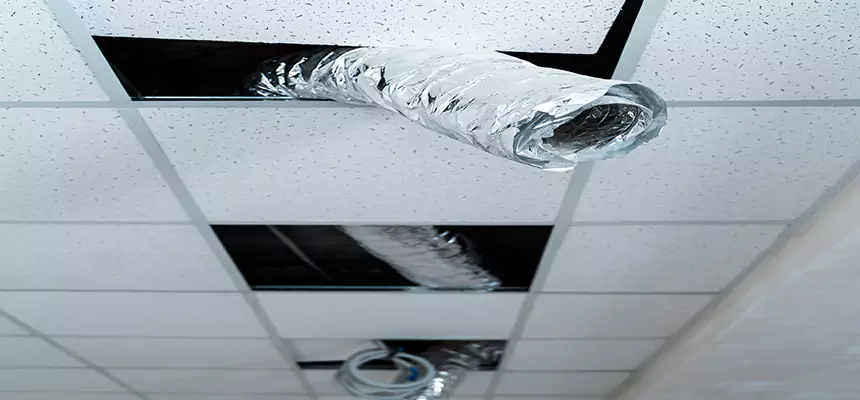 Our Air Duct Pet Hair Removal Services in Florence, SC