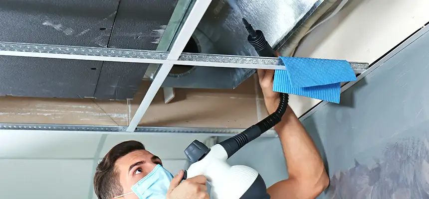 Our Air Duct Rodent Removal Services in Florence, SC