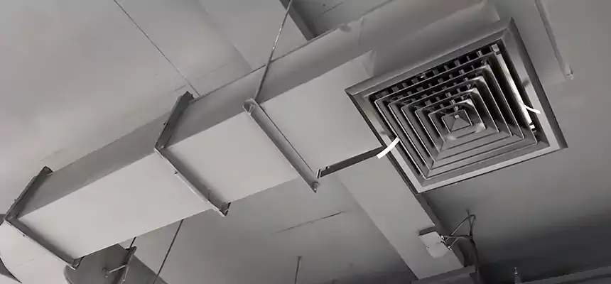 Restorative Allergy Relief Vent Cleaning – Coil, Blower & Housing Detail in Florence