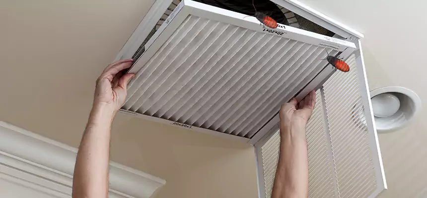 Our Insect Removal from Air Ducts Services in Florence, SC