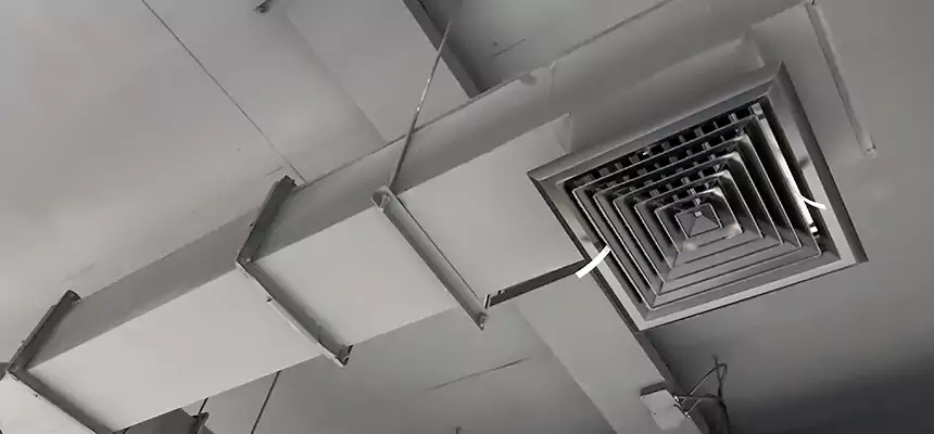 Our Rodent Droppings In Vents Services in Florence, SC