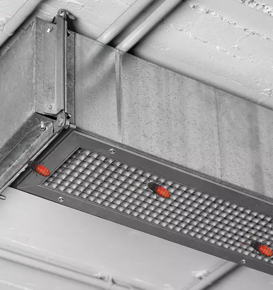 Affordable Insect Removal from Air Ducts in Florence, SC