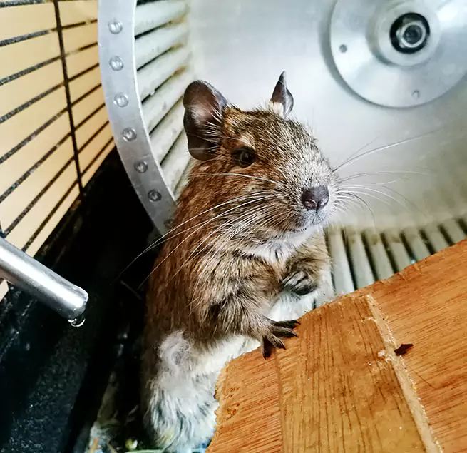 Why Homeowners & Businesses Trust Us Florence, SC