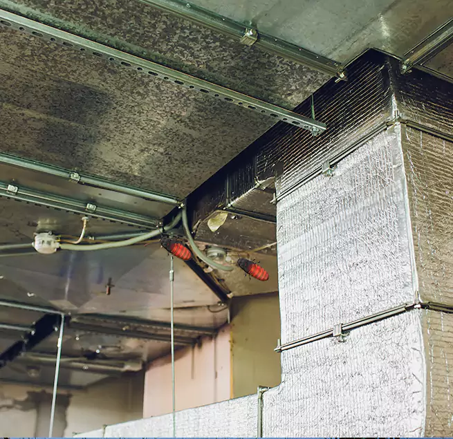 Why Homeowners & Businesses Trust Us Florence, SC?