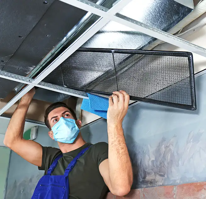 Why Homeowners & Businesses Trust Us in Florence, SC?